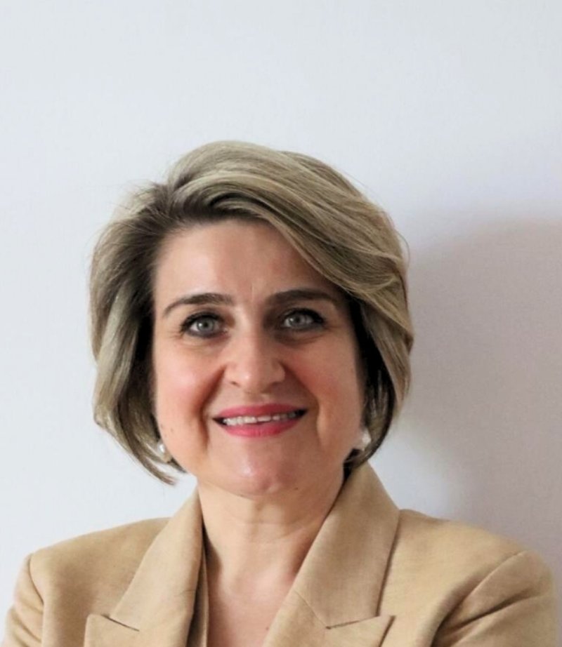 Dr. Öğr. Üyesi Ayşe Dicle Ergin