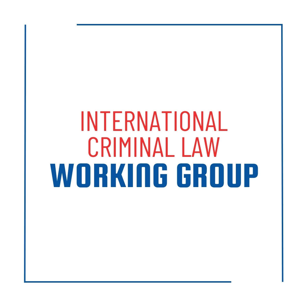 International Criminal Law Working Group