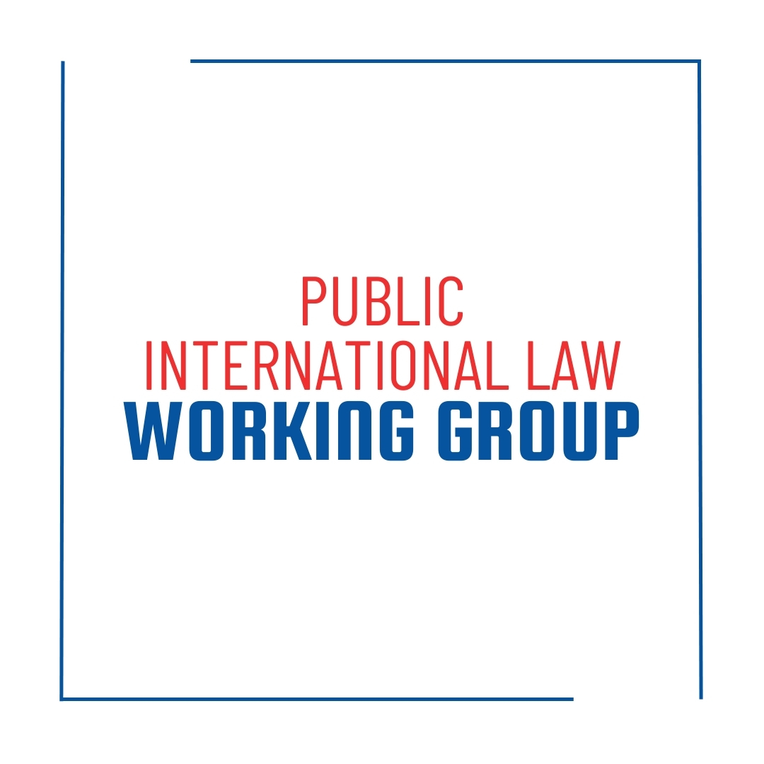 Public International Law Working Group